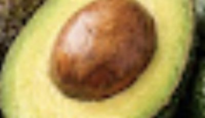 How an Ancient “Chinese Secret” About Avocados May Help Support Healthy Blood Sugar Levels