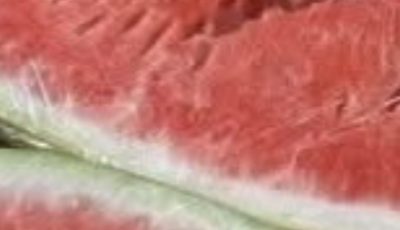 You cut open a watermelon and saw cracks? Stop eating it immediately! Here’s what it means!
