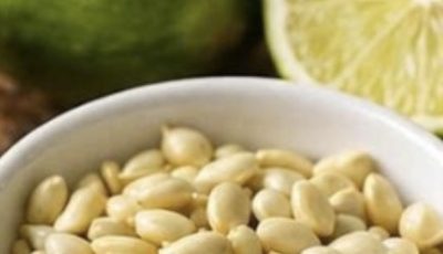 Don’t Throw Away Lemon Seeds: The Natural Treasure Almost Everyone Wastes