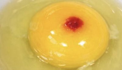 I just cracked an egg to make breakfast and saw this red spot in the yolk